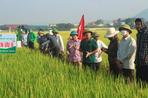 Ảnh 1.jpg