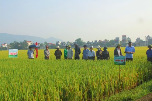 Ảnh 4.jpg