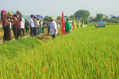 Ảnh 6.jpg
